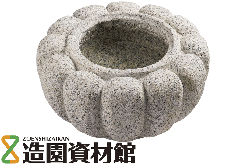 菊鉢 白 | 造園資材館