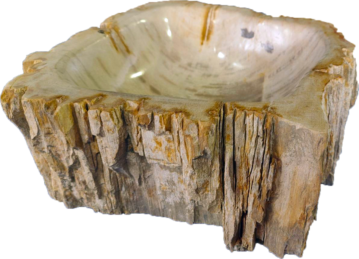 木化石　刻水鉢（ときみずばち） | 造園資材館