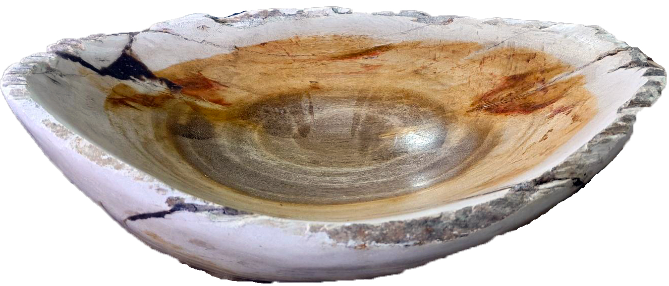 木化石　刻（とき）ボウル | 造園資材館