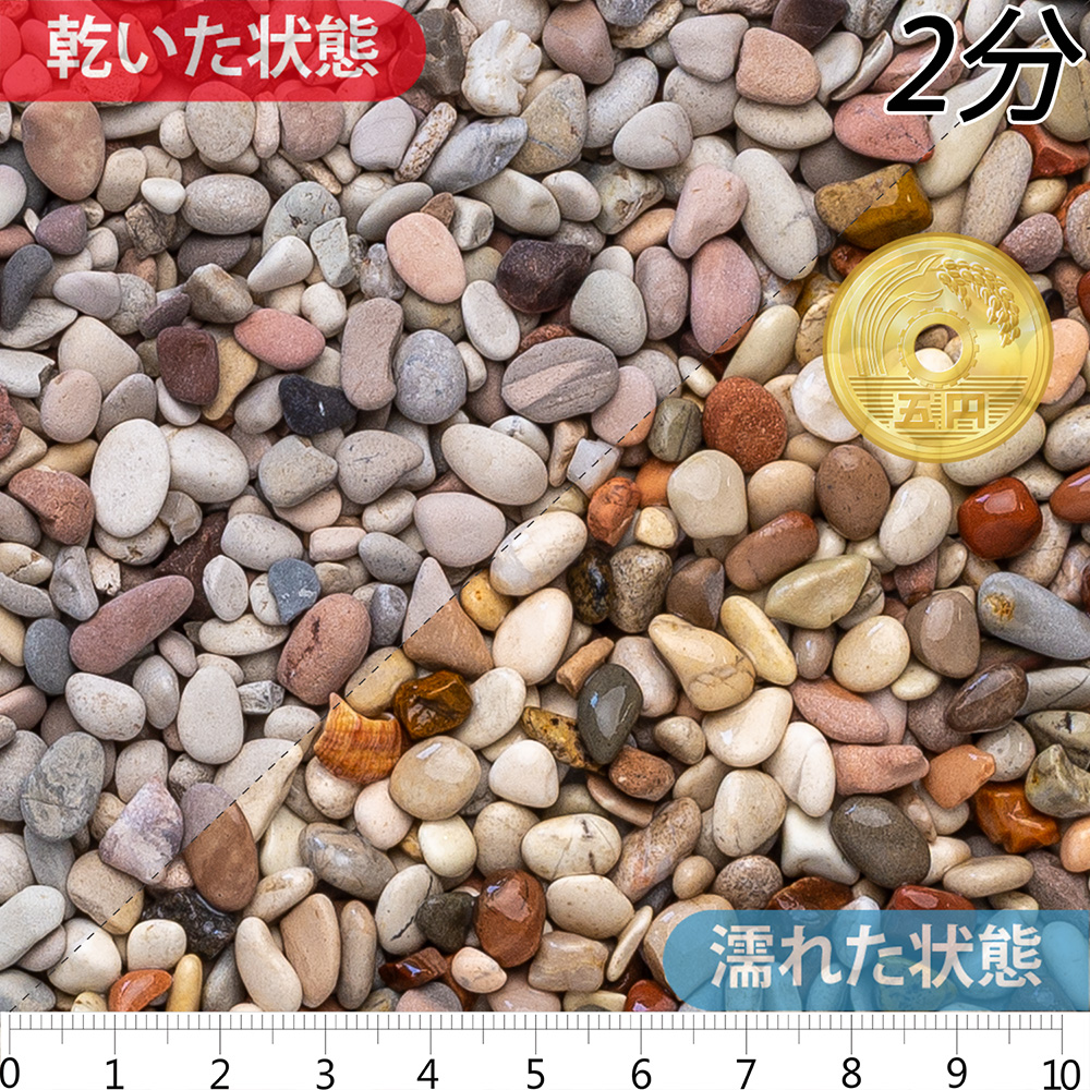 桂林 | 造園資材館