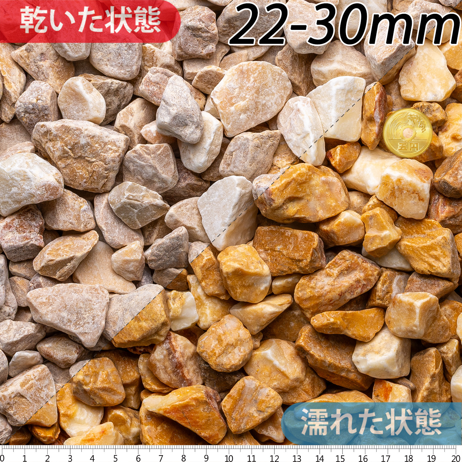 ジアーロシエーナ | 造園資材館