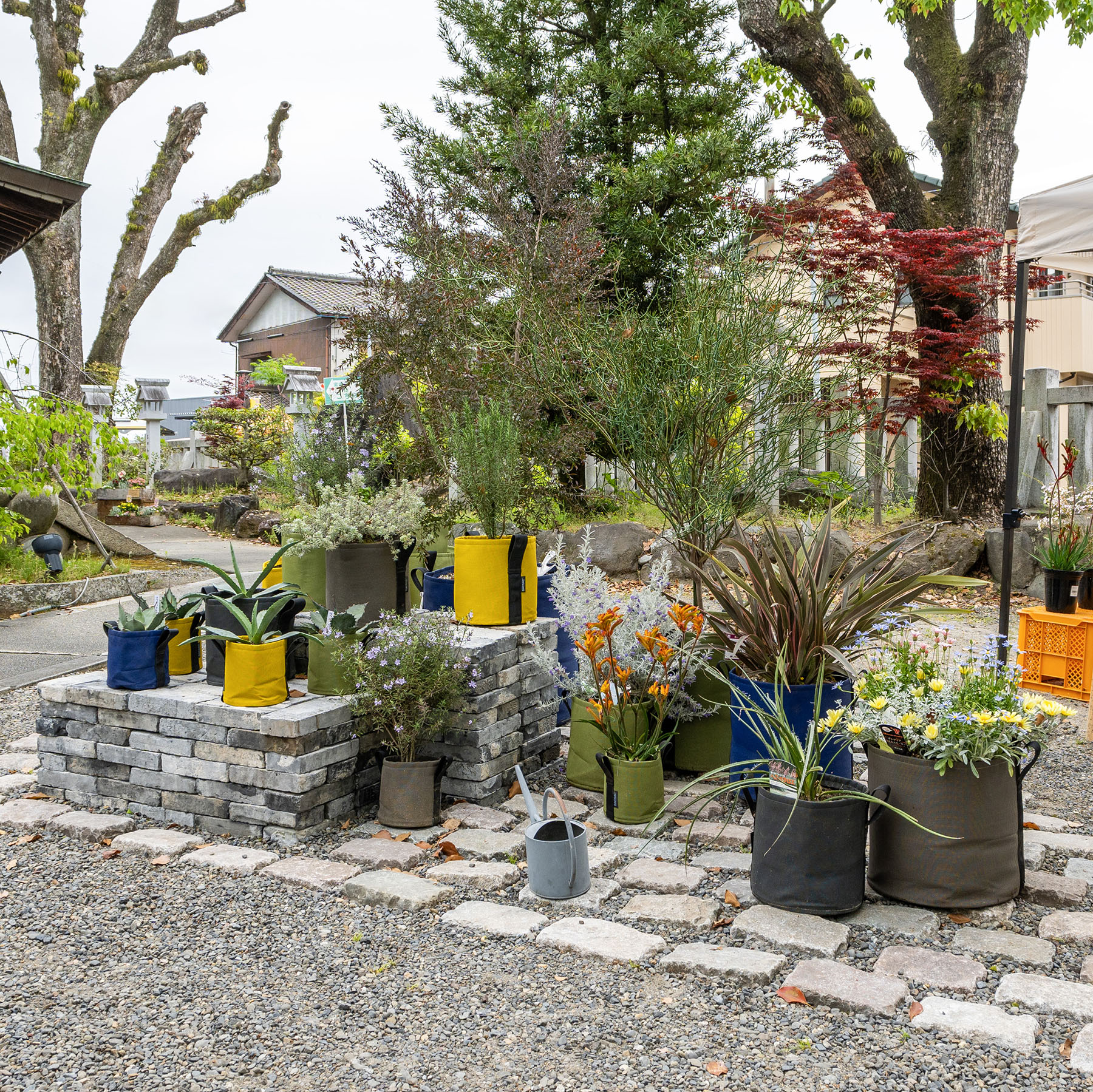 バックサック ポット SOLEIL | 造園資材館