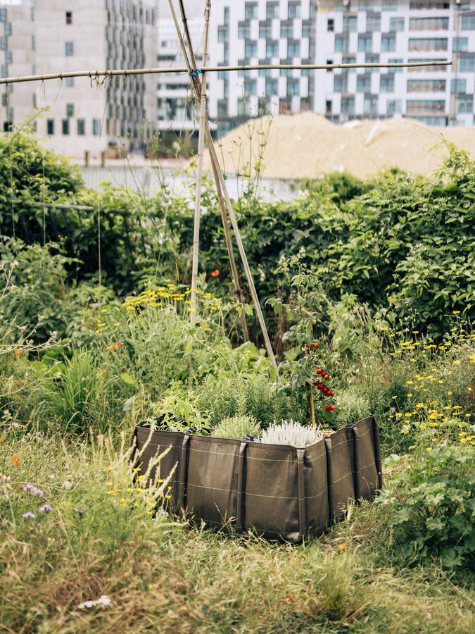 バックスクエア CLASSIC | 造園資材館