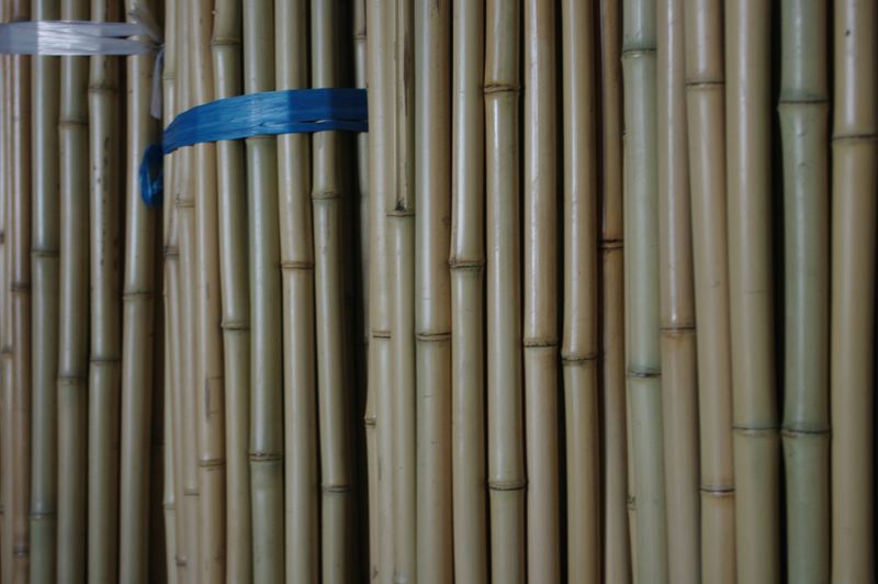 白竹 | 造園資材館