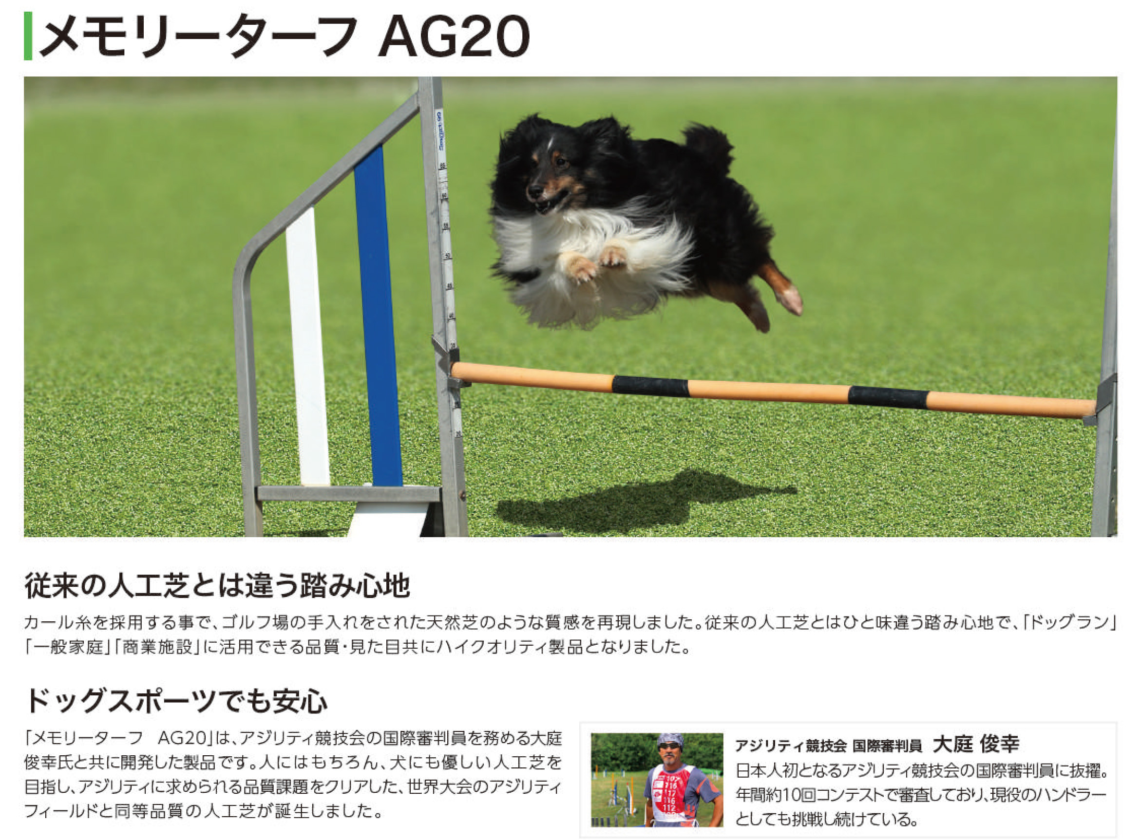 メモリーターフAG20 | 造園資材館