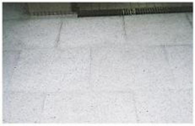 さびとれ花子　 | 造園資材館